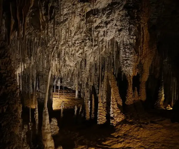 Marakoopa Cave Tasmania