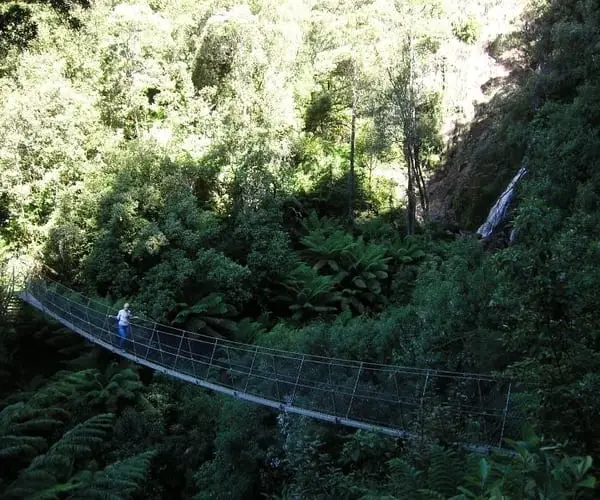 Bushwalking in Rosebery, Tasmania