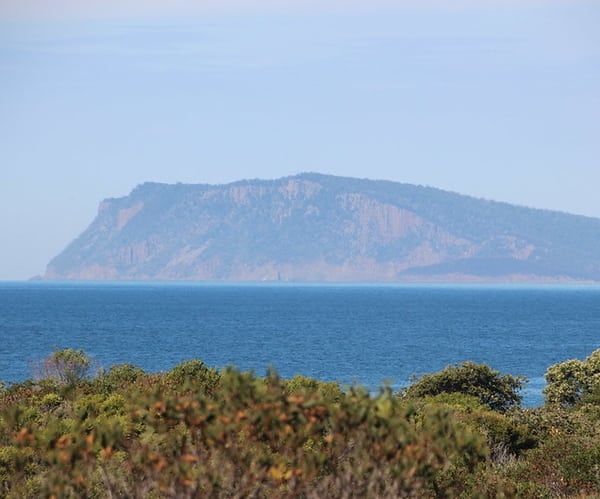 Fluted Cape Walk, Adventure Bay Bruny Island