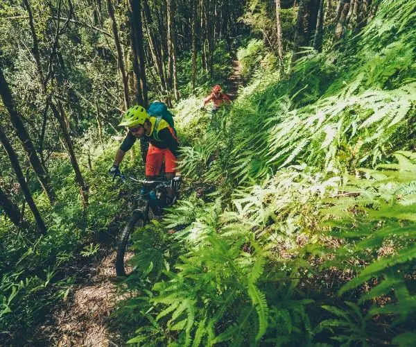 Sterling Valley Mountain Biking Trail