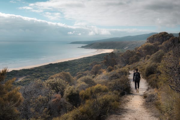 Archers Knob, Narawntapu National Park