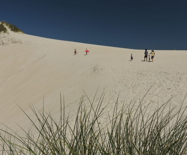 Family walking on Henty Dunes