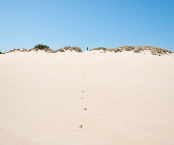 walking over Henty Sand Dunes