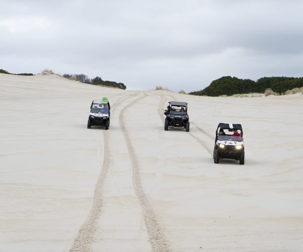 henty dunes quad bikes