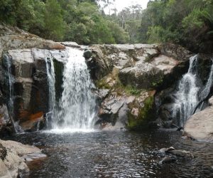 Halls Falls Tasmania