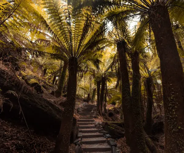 Trowutta Arch Tasmania