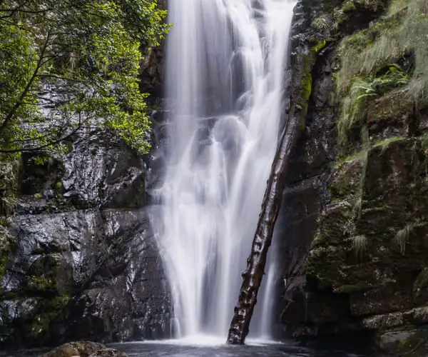 Mathinna Falls Tasmania