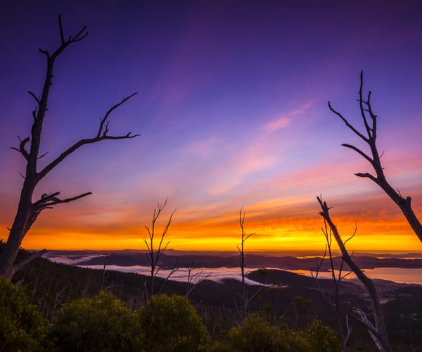 Sunrise from Sphinx Rock Lookout & Walk