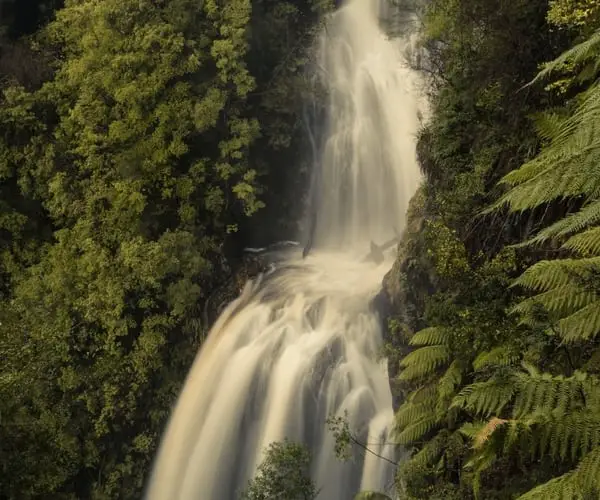 Philosopher Falls Waratah North West Tasmania