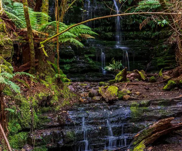 Myrtle Gully Falls