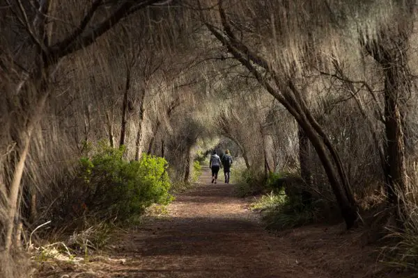 Sheepwash Bay Track, Alonnah Bruny Island Tasmania