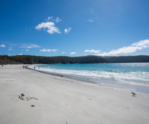 Fortescue Bay