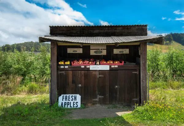 Apples Geeveston Huon Valley