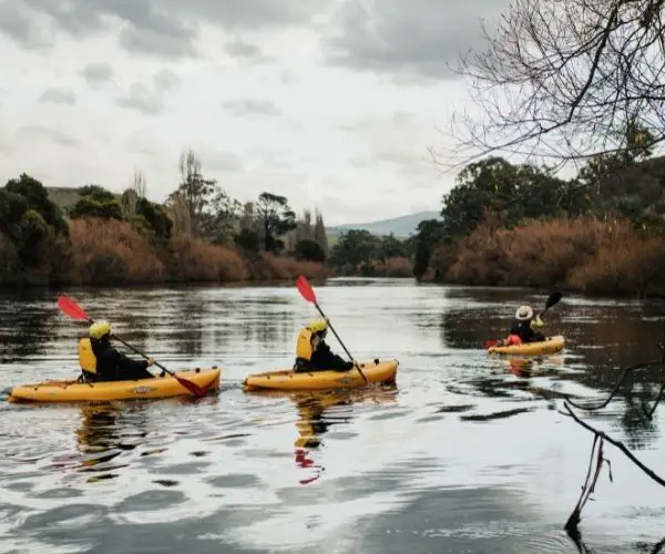 Kayak tours on Derwent River in New Norfolk Tasmania