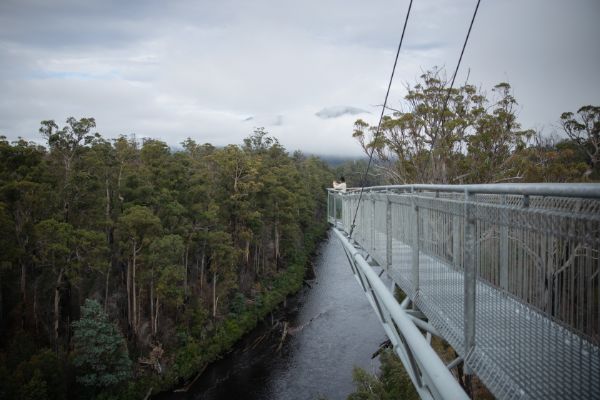 Tahune Airwalk Huon Valley