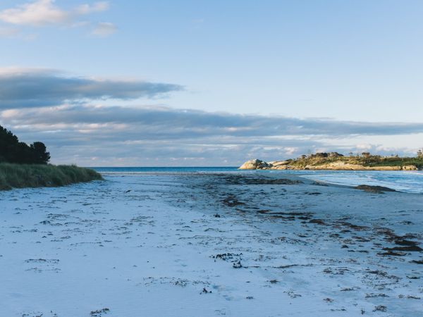 Redbill Beach Bicheno