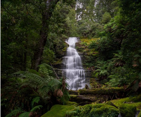 Waterfall at Bastion Cascades Meander Tasmania