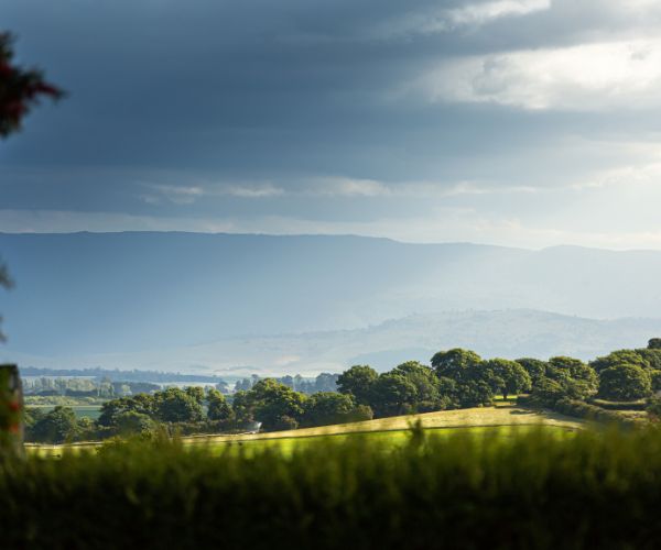 Fields at Cressy