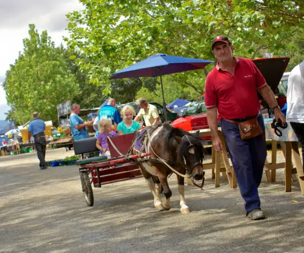 Evandale Market