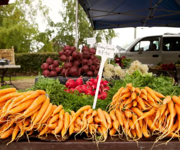 Evandale Market