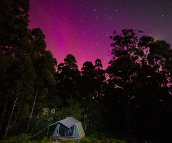 Purple southern lights at Bruny Island, south east Tasmania
