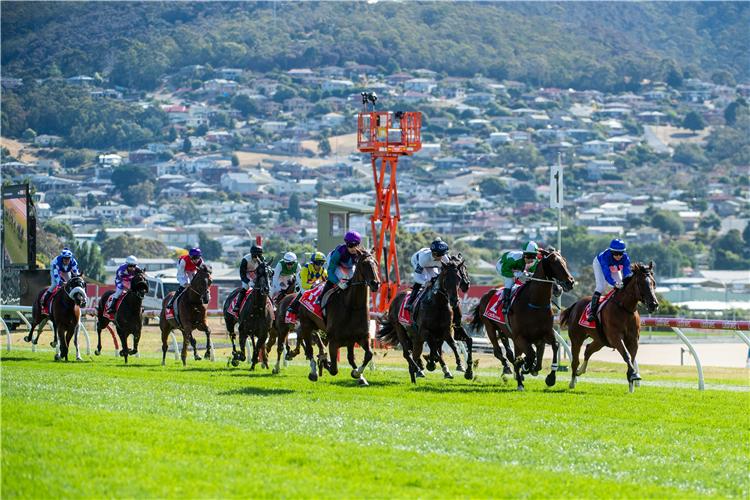 More Than a Race Day: Creating a Memorable Tasmanian Getaway tas 10